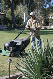 Houston Lawn Care Services